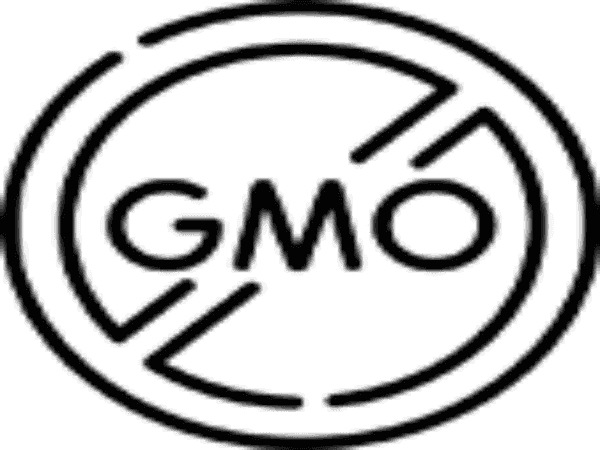 Lavender Infused Shea Body Butter 8 & 2 oz. Tubs-3